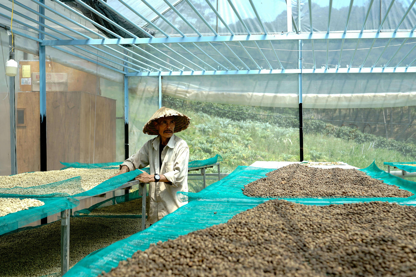 The Rise of Robusta: Why Vietnamese Coffee Packs a Bold Punch